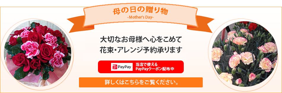 母の日の贈り物-Mother's Day-